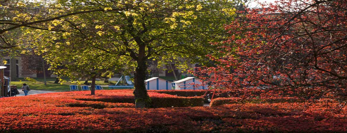 PARIS-JARDIN-ACCLIMATATION-teambuilding