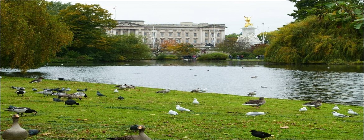 LONDRES-GAME-ZONE-WEST-AREA-Teambuilding