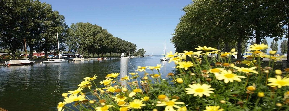 VAUD-teambuilding