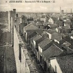 AIGUES-MORTES-Observation-2