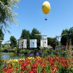 ANGERS-Observation-2