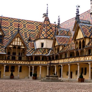 BEAUNE-Brain-4