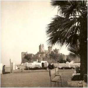 BODRUM-Observation-2