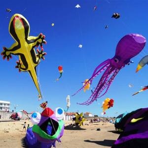 CALVI-Fun-1