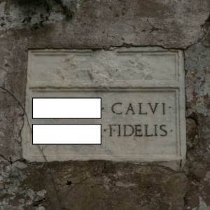 CALVI-Observation-2