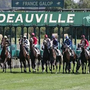 DEAUVILLE-Brain-4