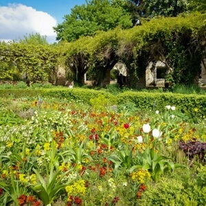 ILE-SAINT-GERMAIN-Brain-4