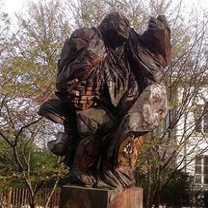 ILE-SAINT-GERMAIN-Observation-2