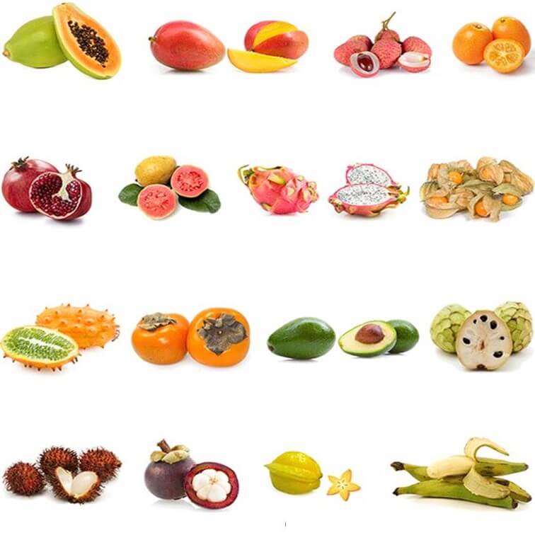 Images de fruits