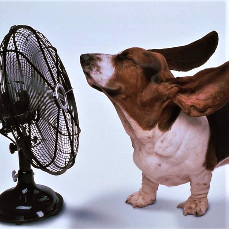 imm_bonne humeur au travail 3