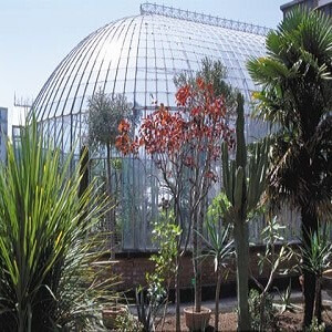 jardin des plantes teambuilding UrbanGaming Nantes