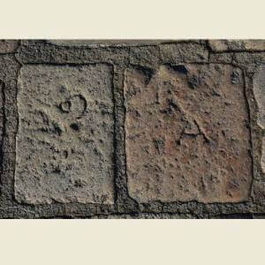 Mont-Saint-Michel-Brain-4