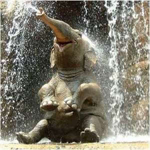 CAGLIARI-Observation-2