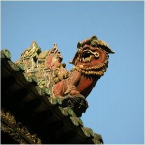 CANTON-Observation-2