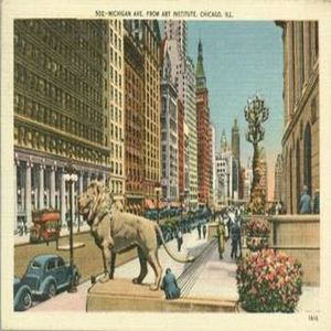 CHICAGO-Observation-2