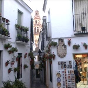 CORDOUE-Observation-2