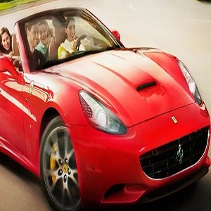 FERRARI-WORLD-Brain-4