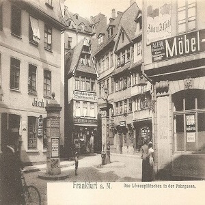 FRANCFORT-Observation-2