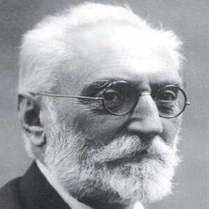 FUERTEVENTURA-Brain-4