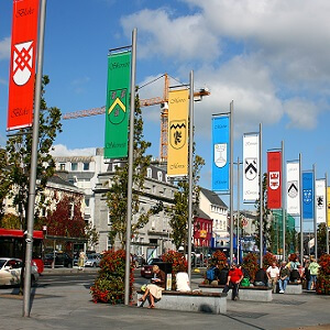GALWAY-Brain-4