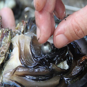 HERITAGE-VILLAGE-Histoire-3