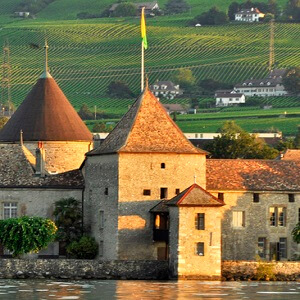 ipad-nyon