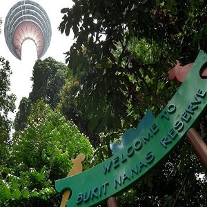 KUALA-LUMPUR-Brain-4