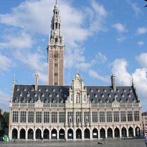 LOUVAIN-Brain-4