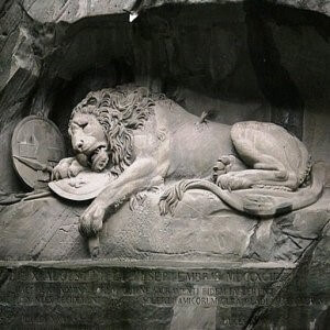 LUCERNE-Brain-4