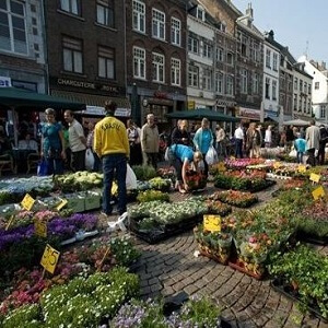 MAASTRICHT-Fun-1