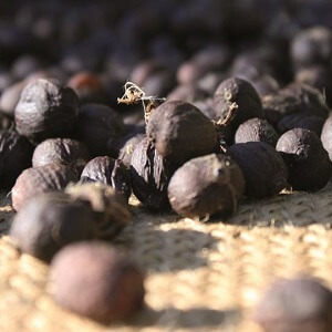 REUNION-Observation-2