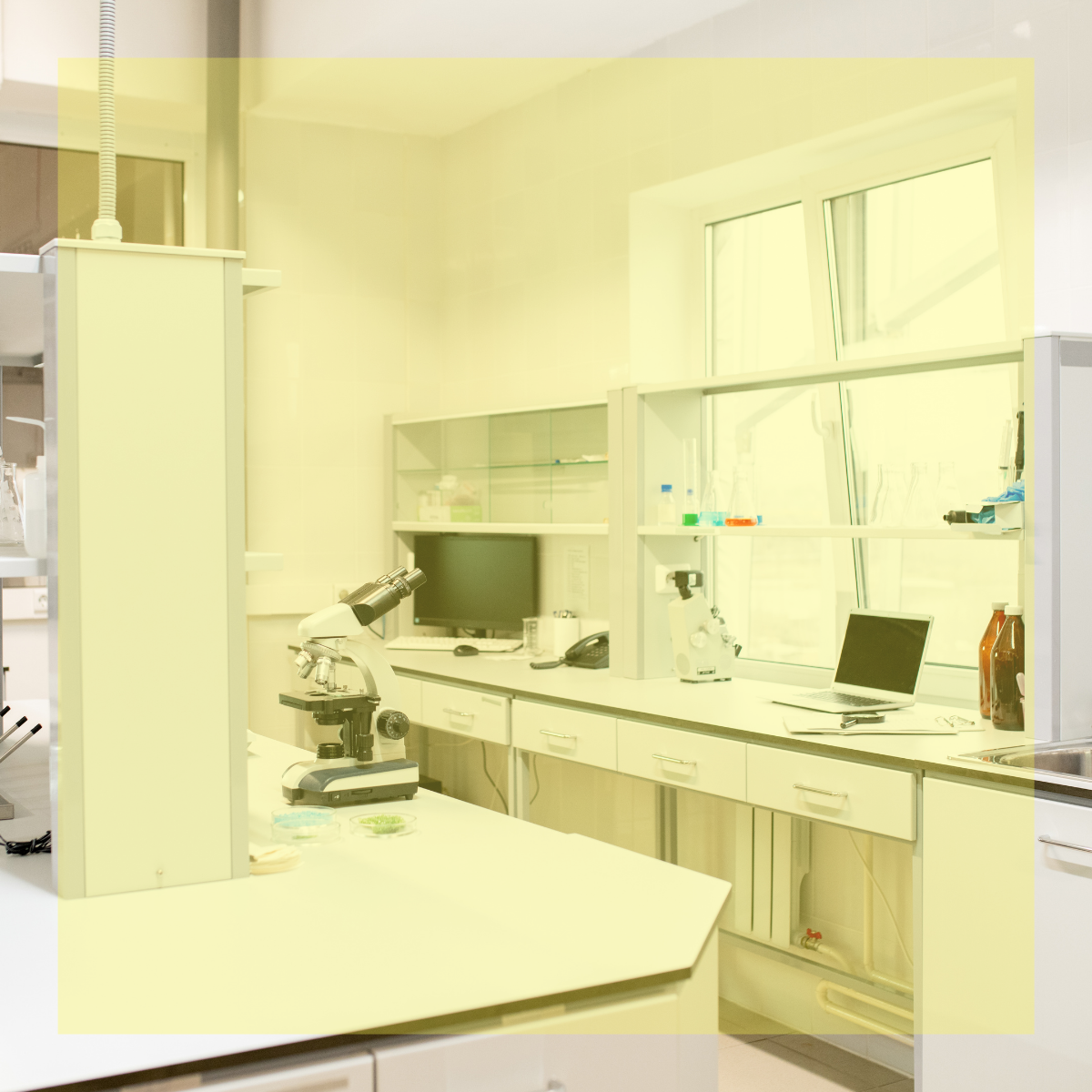 EIFFAGE SOFT SKILLS HTML V2 - Astrid