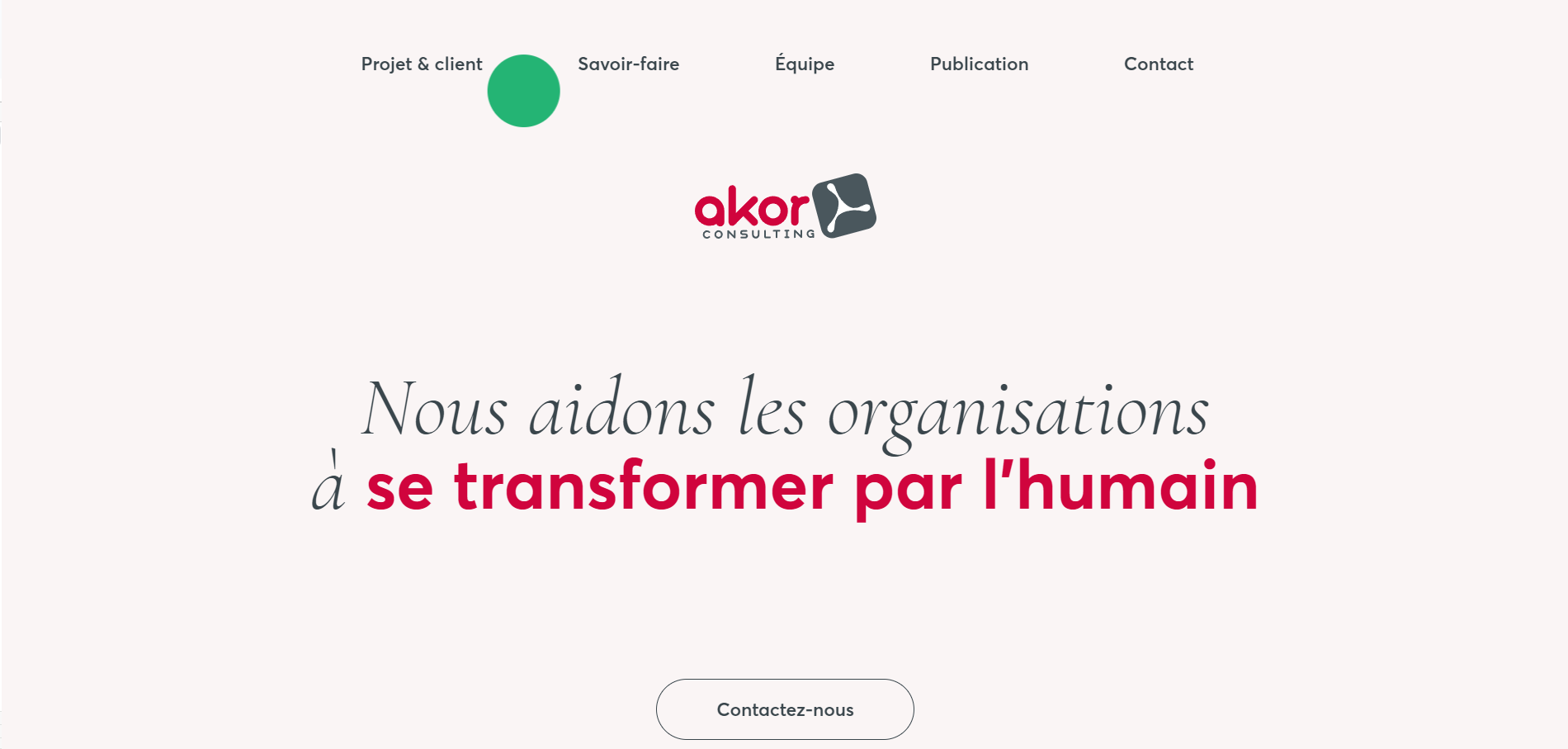 serious game cas akor consulting