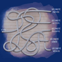 visuels business cases WP (1)