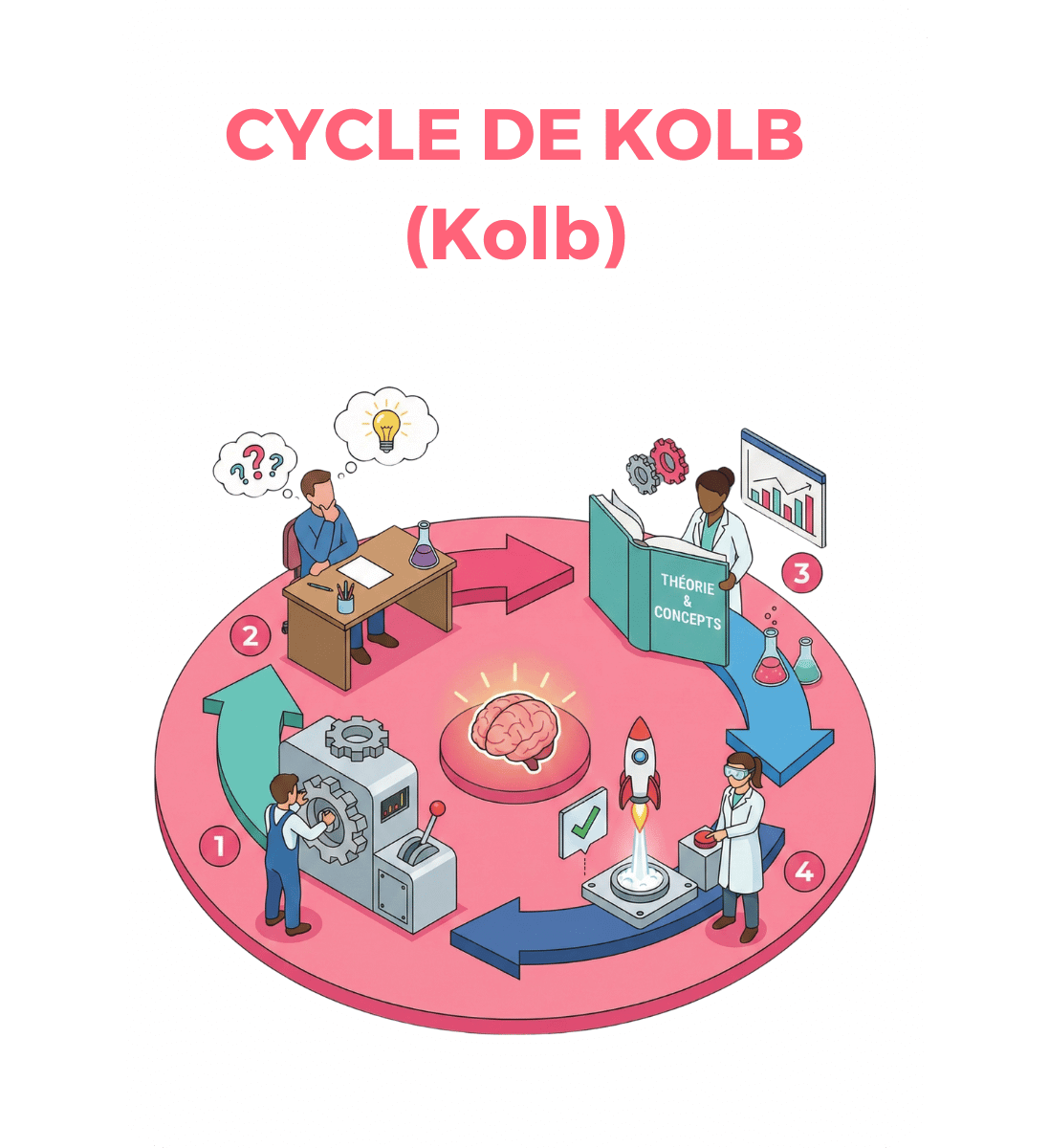 cycle de kolb
